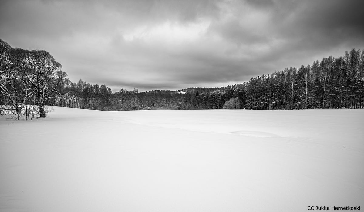 A photo of a snowy landscape