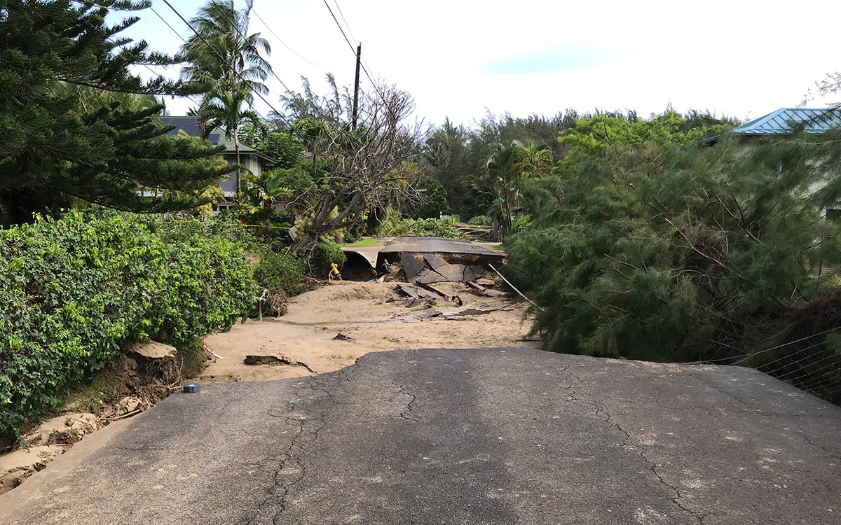 A photo of a rough terrain in a tropical area. 