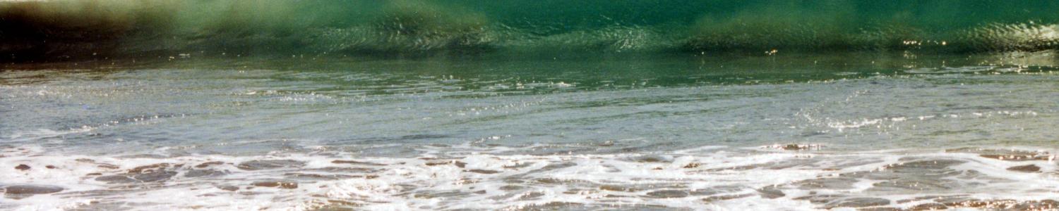 Shallow Water Wave header image
