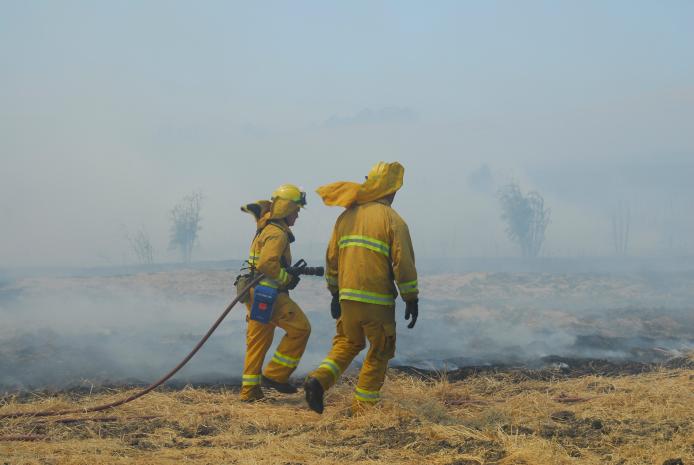 Firefighters working