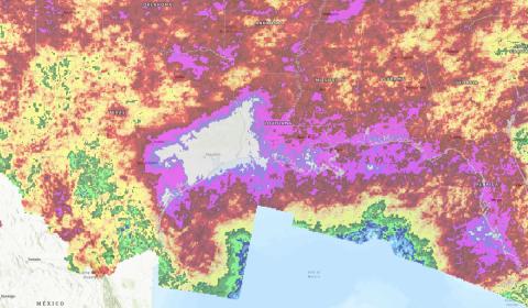 An image of weather data visualized by NetCDF