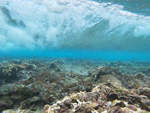 A photo showing a section of the ocean from under the surface. 